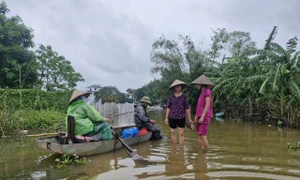 Hà Nội: Khôi phục sản xuất, hỗ trợ nông dân thiệt hại do bão số 3 