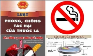 Ninh Bình: Tăng cường công tác phòng, chống tác hại của thuốc lá 