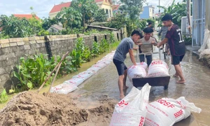 Hỗ trợ người dân ổn định đời sống sau cơn bão tại 'rốn lũ' Chương Mỹ, Hà Nội