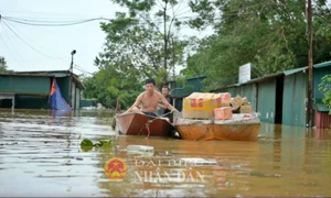 Grab Việt Nam dành tổng ngân sách 8 tỷ đồng hỗ trợ người dân và đối tác bị thiệt hại do cơn bão số 3 