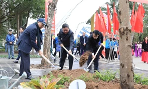 Phó Bí thư Thường trực Thành ủy Hà Nội Nguyễn Văn Phong dự lễ phát động Tết trồng cây tại quận Hai Bà Trưng