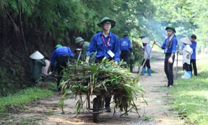 Chiến dịch Mùa hè Xanh 2024 - nhiều hoạt động thiết thực cho cộng đồng