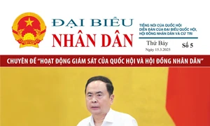 Ấn phẩm số 5.2025 Giám sát của Quốc hội và Hội đồng nhân dân