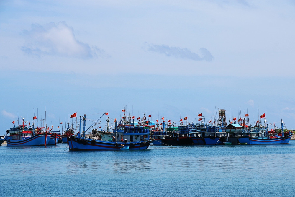 Các tàu cá neo đậu tại đảo Trường Sa img-4976.jpg