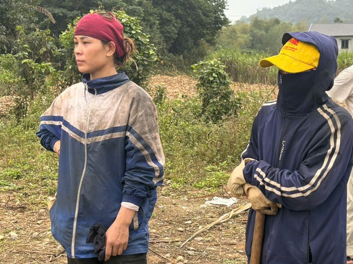 Người dân bức xúc vì Công ty CP nhà máy đường Sông Con chậm thu mua mía m10.jpg