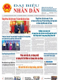 Số 264 ngày 20/09/2024