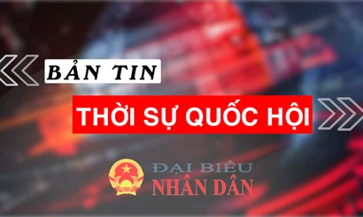 Bản tin Thời sự Quốc hội ngày 26.10.2024