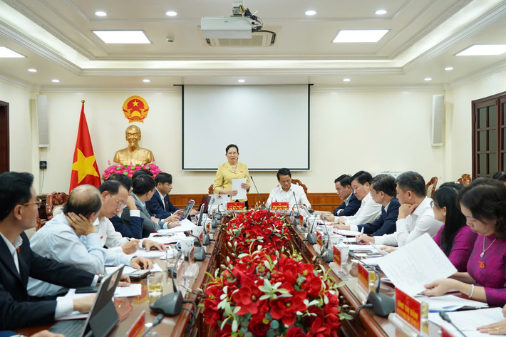 Ủy viên Trung ương Đảng, Bí thư Tỉnh ủy, Chủ tịch HĐND tỉnh Hà Nam Lê Thị Thủy phát biểu tại phiên thảo luận tổ. Ảnh: Đào Cảnh img-6632.jpg