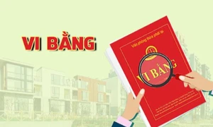 Hà Nội: Truy tố nguyên Phó Chủ tịch HĐND phường Mỹ Đình 2 lập vi bằng để lừa đảo