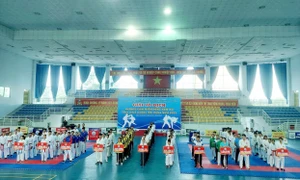 Bình Dương: Khai mạc giải Karate miền Đông Nam bộ mở rộng năm 2022