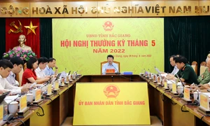 Tập trung hỗ trợ tiêu thụ vải thiều, giải ngân vốn đầu tư công