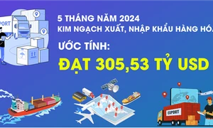 5 tháng năm 2024, xuất siêu đạt 8,01 tỷ USD