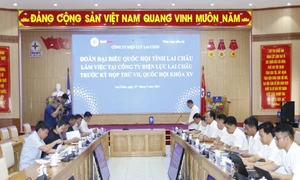 Lai Châu: Đoàn đại biểu Quốc hội tỉnh làm việc tại Công ty Điện lực