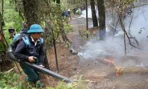 Thủ tướng Chính phủ Phạm Minh Chính yêu cầu triển khai quyết liệt các biện pháp phòng cháy, chữa cháy rừng