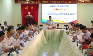 Long An: Cần đầu tư công trình văn hóa đặc sắc, có điểm nhấn