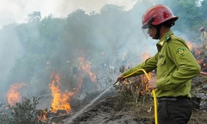 Quảng Bình chủ động phòng cháy rừng ở Vườn Quốc gia Phong Nha - Kẻ Bàng