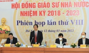 405 ứng viên đạt tiêu chuẩn chức danh giáo sư, phó giáo sư