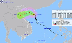 Bão số 7 đang đi vào Vịnh Bắc Bộ, sẵn sàng sơ tán dân ra khỏi vùng nguy hiểm