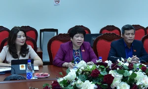 Chủ nhiệm Ủy ban về các vấn đề xã hội tiếp Trưởng đại diện UNDP tại Việt Nam