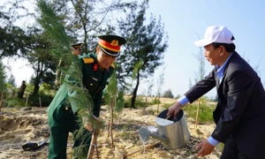 Quảng Bình: Phát động "Tết trồng cây đời đời nhớ ơn Bác Hồ" Xuân 2024