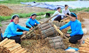 Người dân là trung tâm, chủ thể