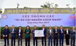 Vietcombank tham gia chương trình “Tri ân cội nguồn cách mạng”