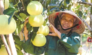 Huyện Hương Khê nỗ lực vượt khó xây dựng quê hương ngày càng giàu đẹp, văn minh