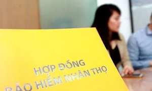 Trường hợp nào được đơn phương chấm dứt hợp đồng bảo hiểm nhân thọ?