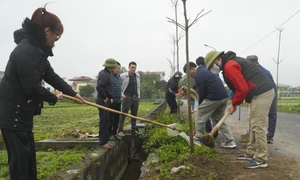 Hà Nội: Phát động Tết trồng cây “Đời đời nhớ ơn Bác Hồ” xuân Giáp Thìn 2024 tại huyện Đông Anh