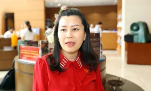 ĐBQH Lê Đào An Xuân (Phú Yên): Tin tưởng Bộ trưởng sẽ thực hiện lời hứa trước đại biểu và cử tri