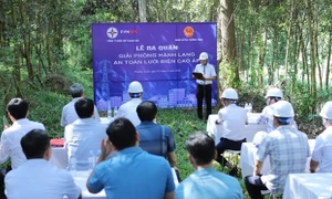 Công ty Điện lực Thanh Hóa: Ra quân giải phóng hành lang an toàn lưới điện