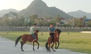 Sắp diễn ra Festival Cao nguyên trắng Bắc Hà mùa hè năm 2023