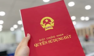 An Giang: Sử dụng "sổ đỏ" giả đi cầm cố, chiếm đoạt 400 triệu đồng