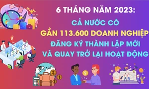 75,9 nghìn doanh nghiệp đăng ký thành lập mới trong 6 tháng đầu năm