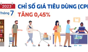 CPI tháng 7 tăng 0,45%