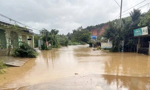 Ứng phó, khắc phục hậu quả do mưa lớn trên địa bàn tỉnh Lâm Đồng