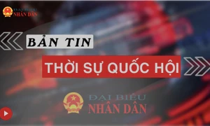 Bản tin Thời sự Quốc hội ngày 28.7.2023