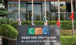 CEO Group muốn thu lượng tiền "khủng" từ phát hành hơn 252 triệu cổ phiếu