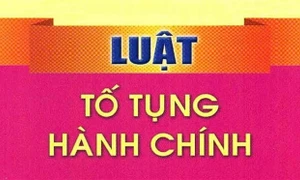 Các biện pháp khẩn cấp tạm thời trong tố tụng hành chính