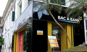 Bắc Á Bank: Lợi nhuận sụt giảm, nợ nhóm 3 tăng vọt, dòng tiền kinh doanh âm nghìn tỷ