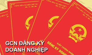 Hướng dẫn xử lý trường hợp cấp đăng ký doanh nghiệp không đúng quy định