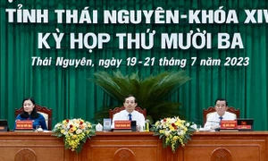 Thể hiện rõ chính kiến để quyết đáp đúng, sát thực tiễn