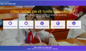 TP. Hồ Chí Minh: Hướng dẫn tra cứu kết quả tuyển sinh đầu cấp