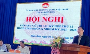 Quảng Nam: Cử tri thị xã Điện Bàn kiến nghị nhiều vấn đề về môi trường