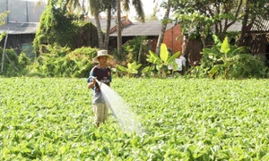 Sóc Trăng: Sẽ giám sát Chương trình giảm nghèo bền vững