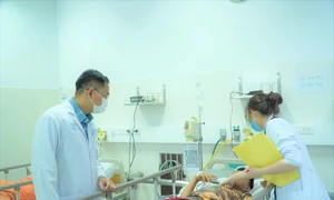 Điều tra vụ việc ngộ độc botulinum do ăn giò lụa tại TP. Hồ Chí Minh