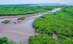 Nam Định: Trải nghiệm bắt ngao, một học sinh và một phụ huynh đến từ Hà Nội tử vong