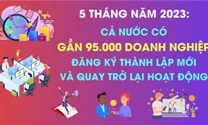 Cả nước có gần 95 nghìn doanh nghiệp thành lập mới và quay trở lại hoạt động