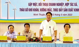 Ninh Thuận: Giải quyết dứt điểm, kịp thời khó khăn của doanh nghiệp