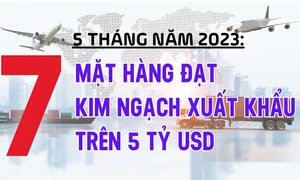 7 mặt hàng đạt kim ngạch xuất khẩu trên 5 tỷ USD